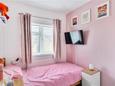 Picture 16